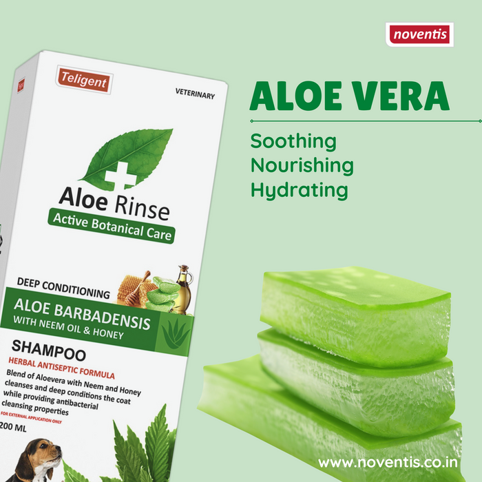 Aloe Rinse® Shampoo 200 ml