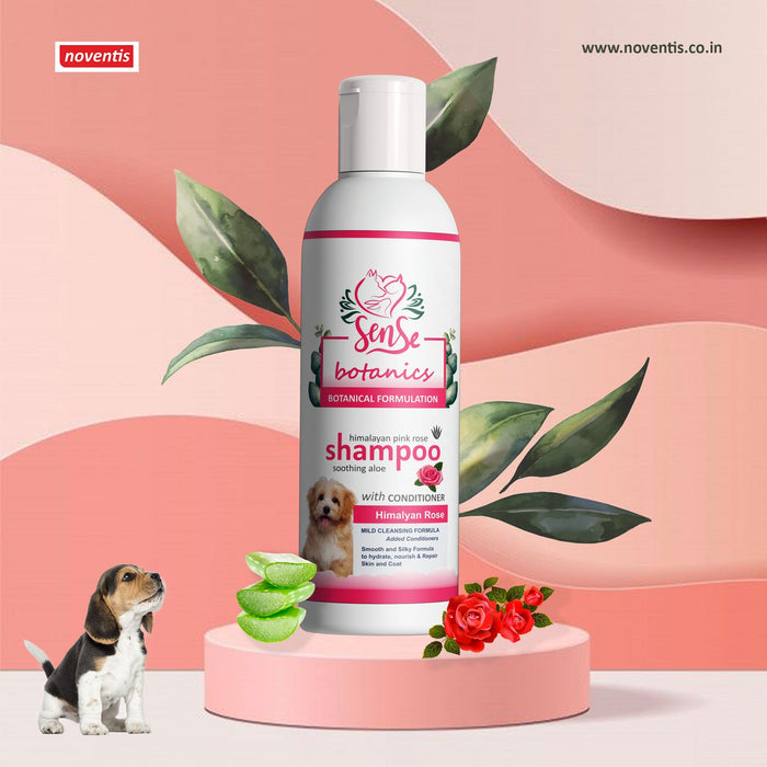 Sense Botanics™ Himalayan Rose & Aloe Shampoo 500 ml x 2+ Brush COMBO