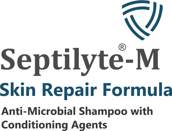 Septilyte® Skin Repair Shampoo 200 ml