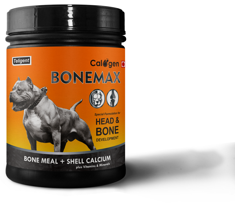 Calogen Bonemax Head & Bone Supplement 400 gm