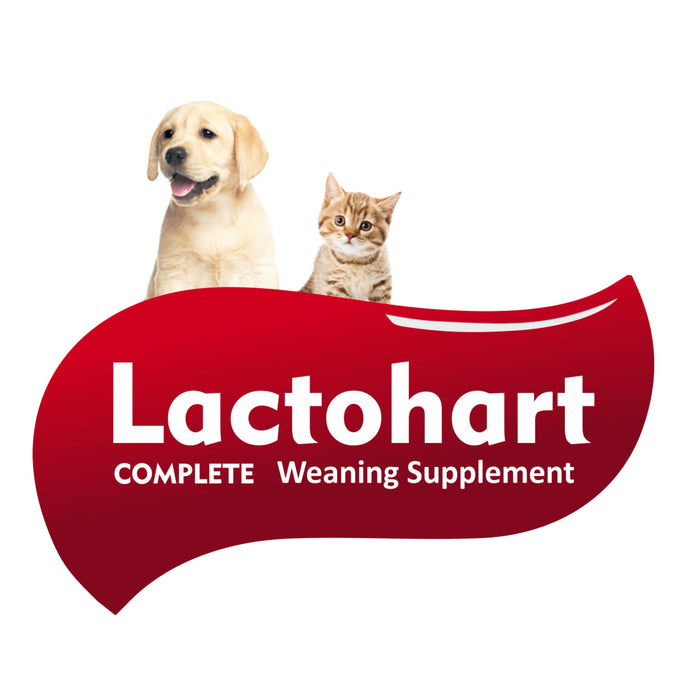 Lactohart Puppy Weaning Supplement 400 gm