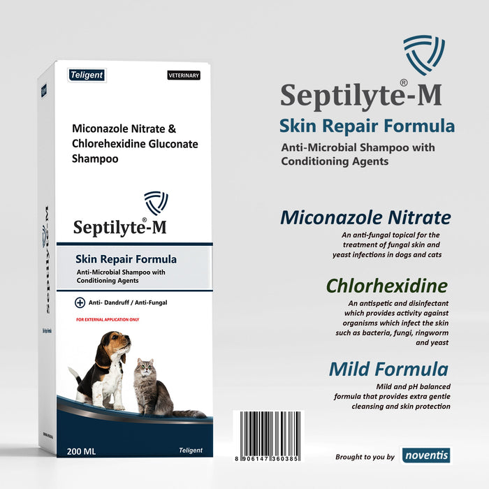 Septilyte® Skin Repair Shampoo 200 ml