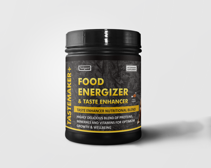 Tastemaker + Food Energizer & Weight Gainer 400 gm